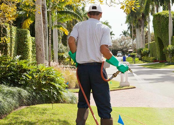 About East Hanover NJ Pest Control Pros